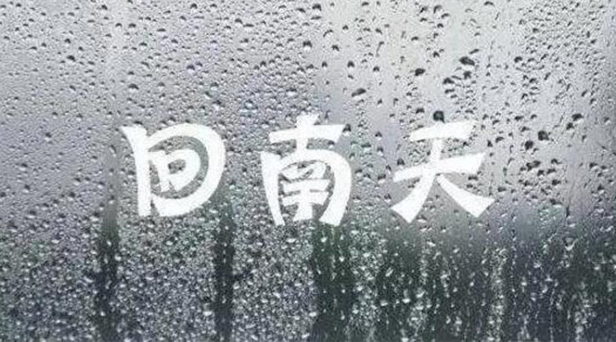 潮濕天來襲！家用衣物烘干機一招清除衣物上霉臭味