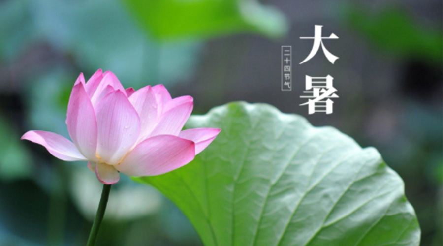 大暑時節(jié)！金環(huán)電器提醒大家注意這些干衣細節(jié)