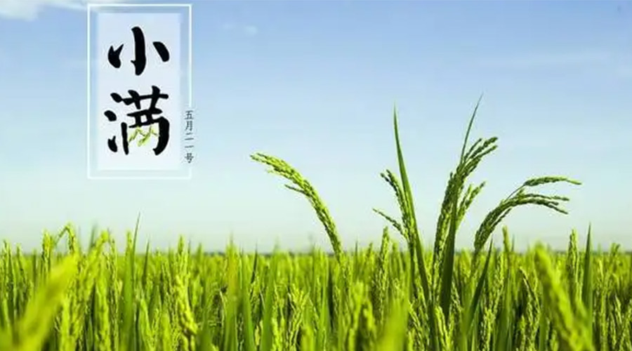 小滿時(shí)節(jié)！金環(huán)電器提醒大家要注意的事項(xiàng)