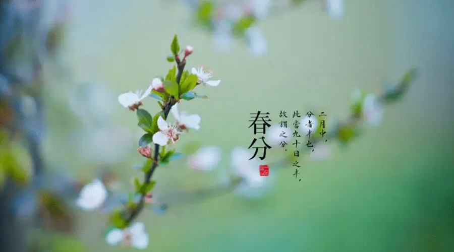 春分雨水多易生菌！金環(huán)電器提醒你衣物要注意處理