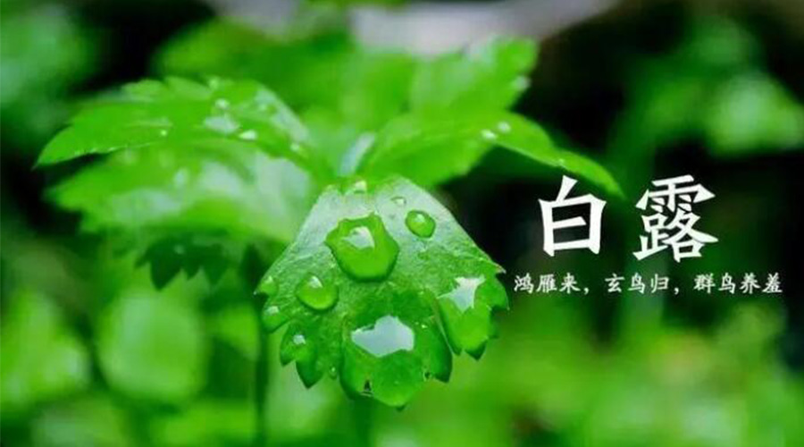 白露時節(jié)！金環(huán)電器提醒大家要注意的事項