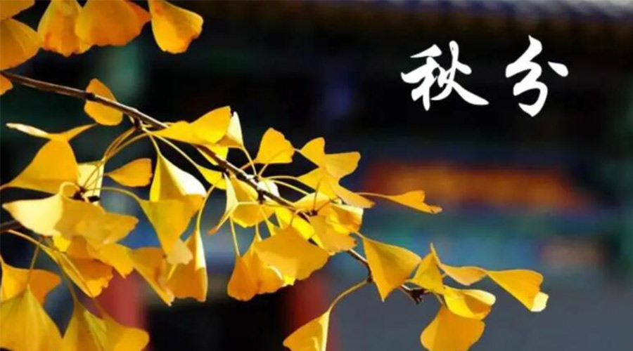 秋分時節(jié)！金環(huán)電器提醒大家要注意的事項