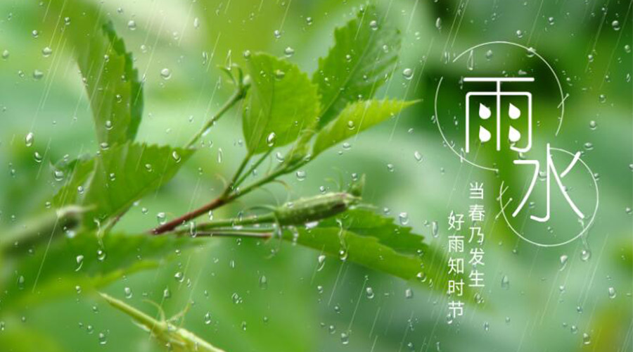 雨水時(shí)節(jié)！金環(huán)電器提醒大家要注意的事項(xiàng)